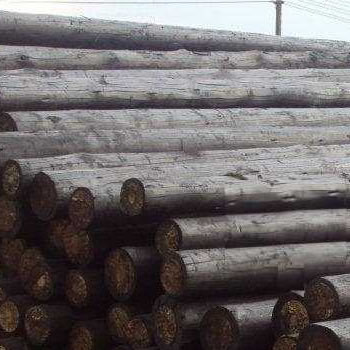Treated Poles
